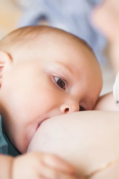 Breastfeeding closeup — Stock Photo, Image