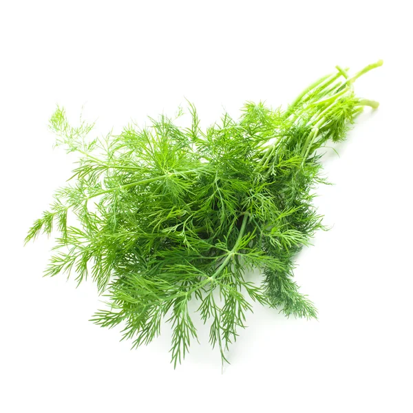 Dill isolated — Stock Photo, Image