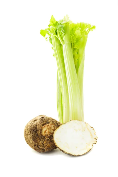 Green celery isolated — Stock Photo, Image