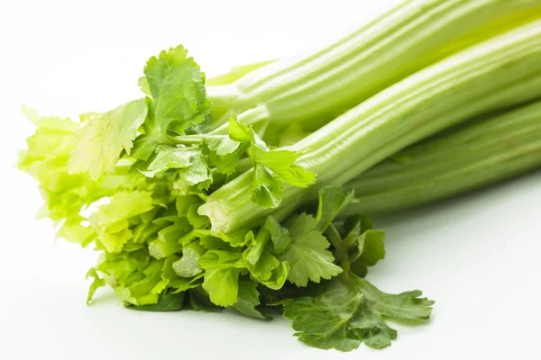 Green celery isolated — Stock Photo, Image