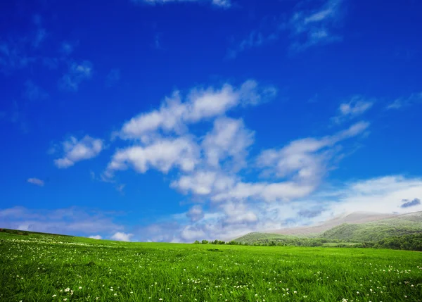 草甸和天空 — 图库照片