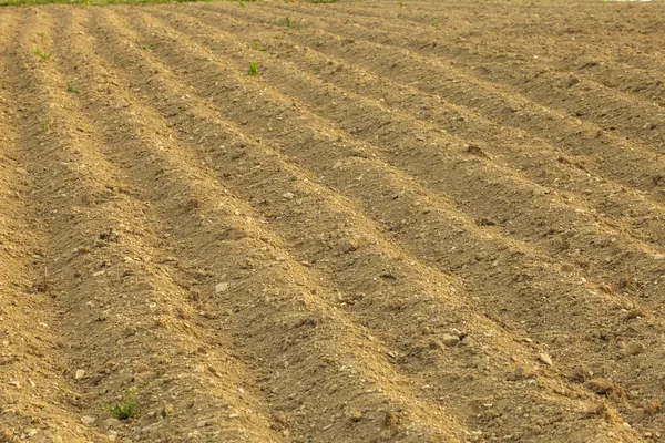Furrows on the field — Stock Photo, Image