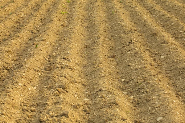 Furrows on the field — Stock Photo, Image