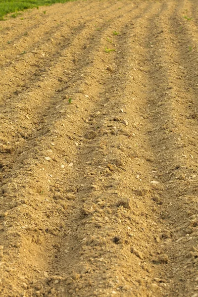 Furrows on the field — Stock Photo, Image