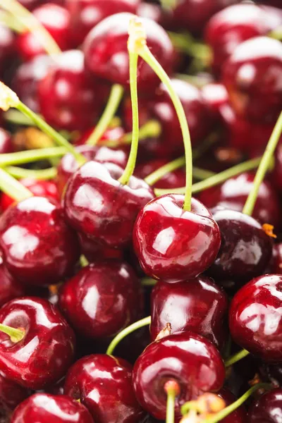 Sweet cherry bakgrund — Stockfoto