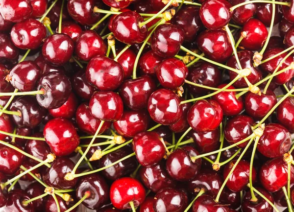 Sweet cherry background — Stock Photo, Image