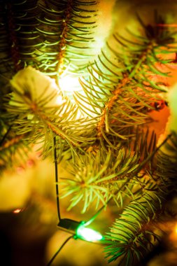 Açık chrismas ağaç
