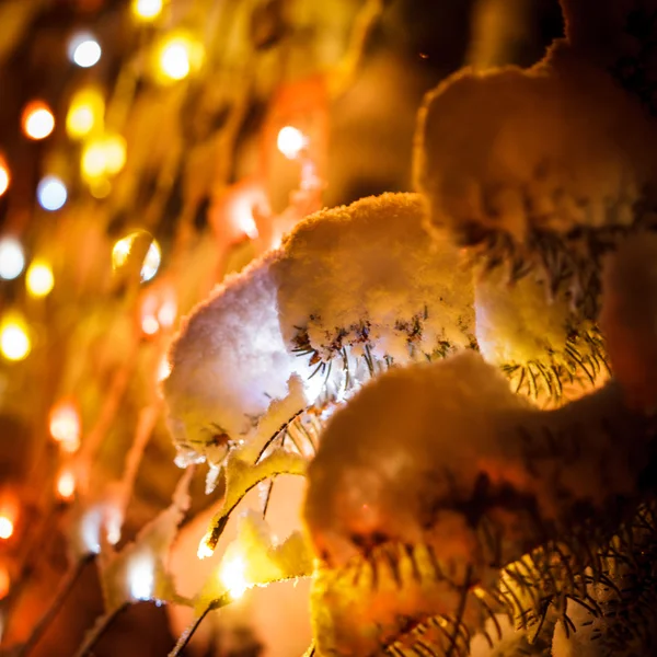 Outdoor chrismas tree — Stock Photo, Image