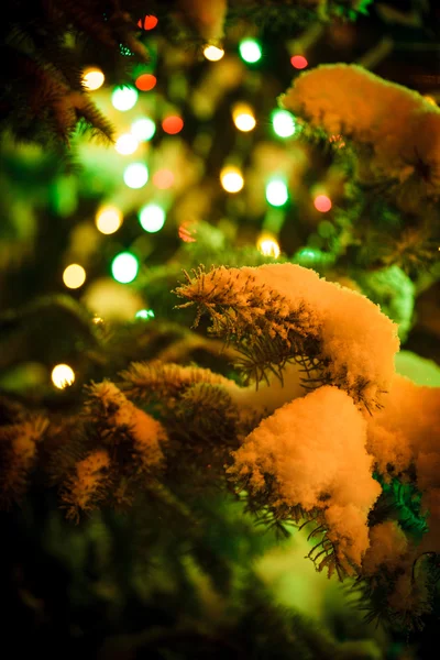 Árbol de Navidad al aire libre —  Fotos de Stock