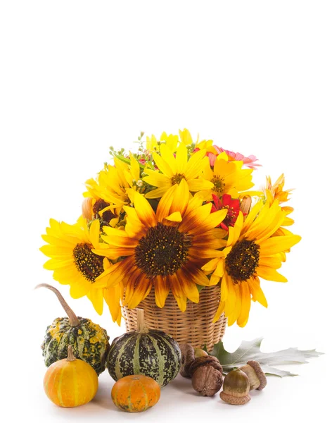Gifts of Autumn — Stock Photo, Image
