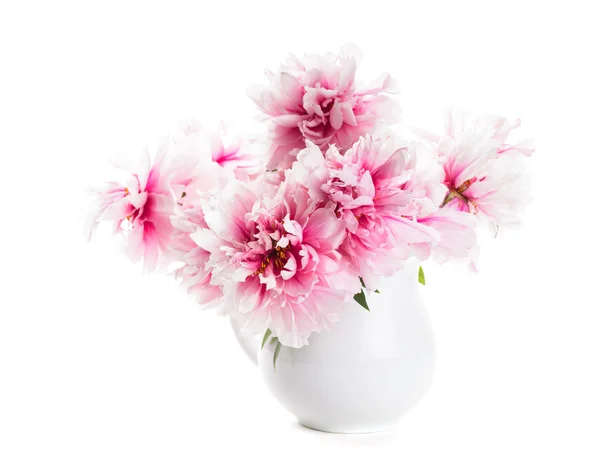 Peonie rosa in vaso — Foto Stock