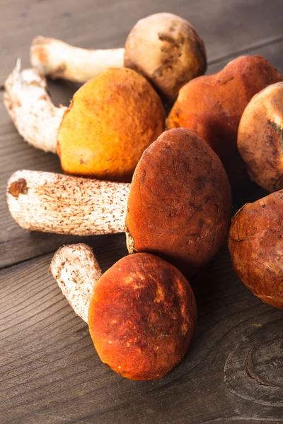 Orange-cap boletus — Stock Photo, Image