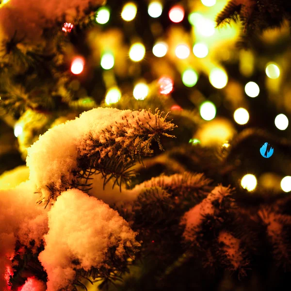 Árbol de Navidad al aire libre — Foto de Stock