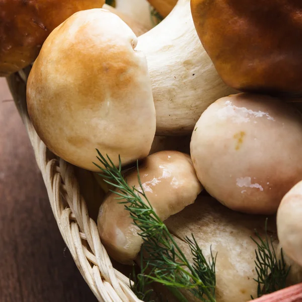 Ceps in the basket — Stock Photo, Image