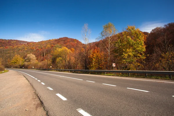 Fall road — Stock Photo, Image