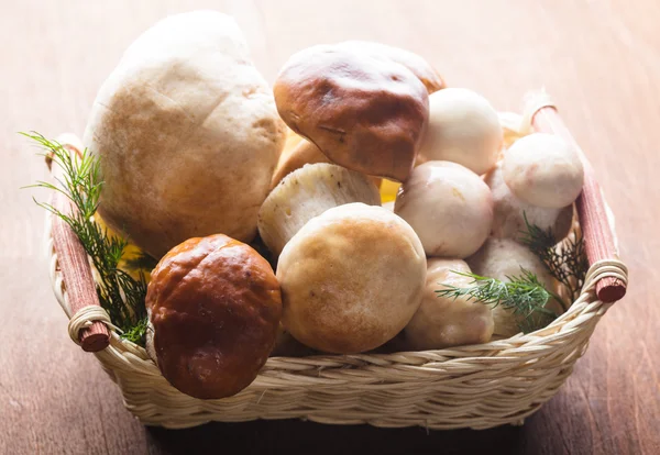 Ceps バスケットで — ストック写真