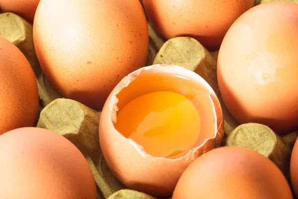 Яйца в картонке — стоковое фото
