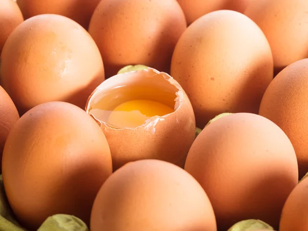 Eieren in karton — Stockfoto