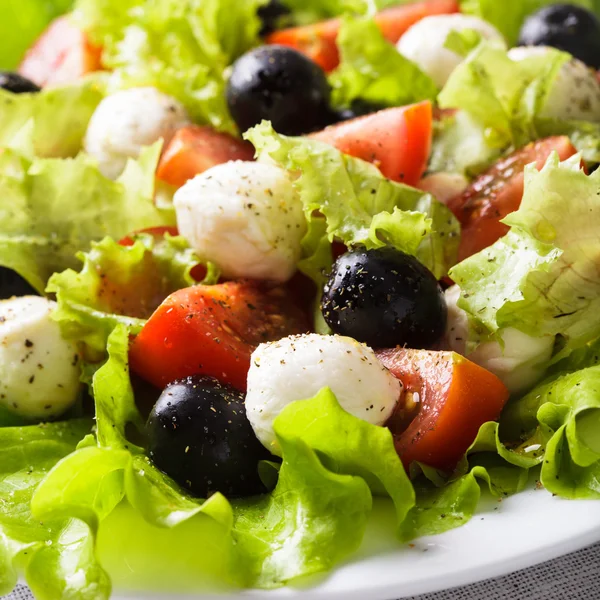 Fräsch sallad — Stockfoto