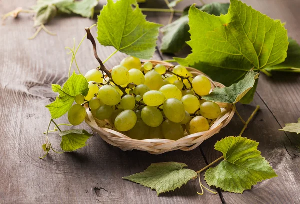 White grape — Stock Photo, Image