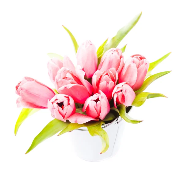 Pink tulips — Stock Photo, Image