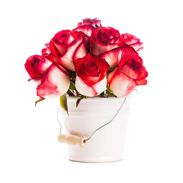 Roses in the bucket — Stock Photo, Image