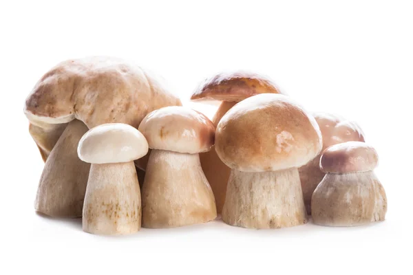 CEPS isolerade — Stockfoto