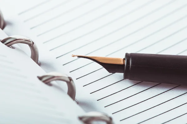 Metal feather pen — Stock Photo, Image