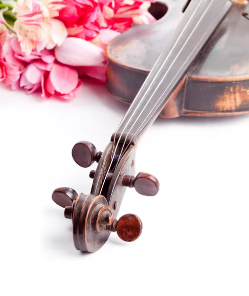 Vecchio violino nero — Foto Stock