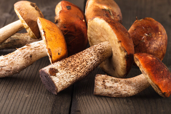 Orange-cap boletus