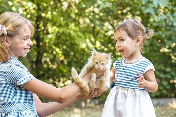 Flicka spela med kattunge — Stockfoto