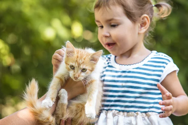 Menina jogar com gatinho — Fotografia de Stock