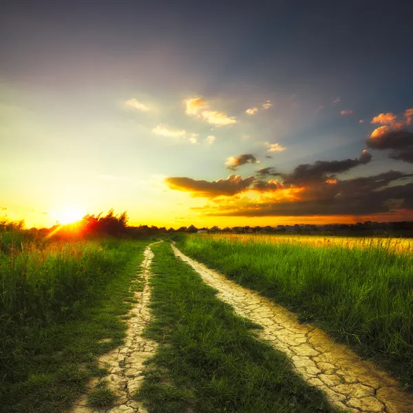 Paisagem rural — Fotografia de Stock