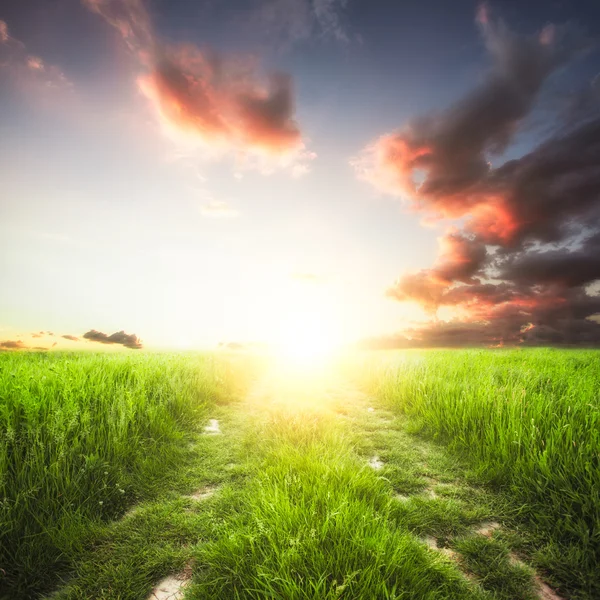 Paisagem rural — Fotografia de Stock