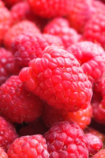 Raspberries close up — Stock Photo, Image