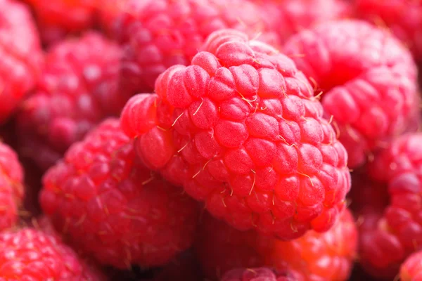 Raspberries close up — Stock Photo, Image