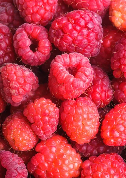 Raspberries close up — Stock Photo, Image