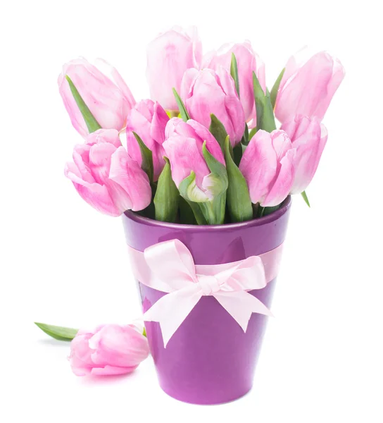 Isolerede tulipaner og æg - Stock-foto