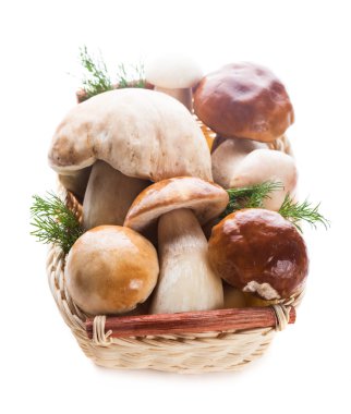 Ceps sepet