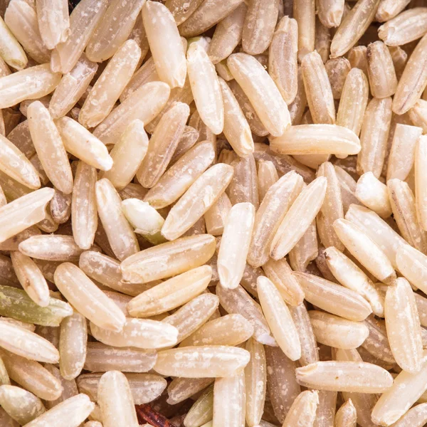 Brown rice — Stock Photo, Image