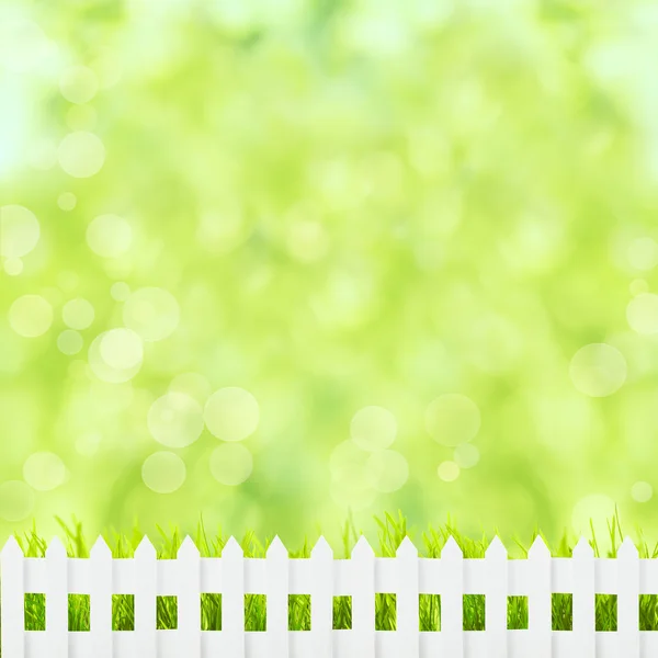 Zelené trávy a plot — Stock fotografie