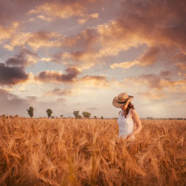 Mulher no campo de trigo — Fotografia de Stock