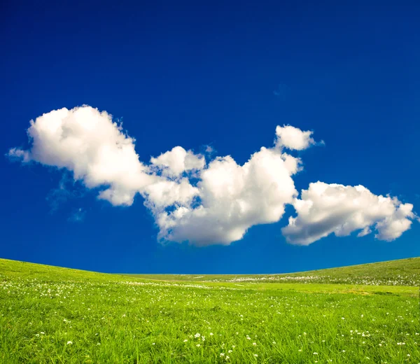 Prados verdes de primavera — Foto de Stock