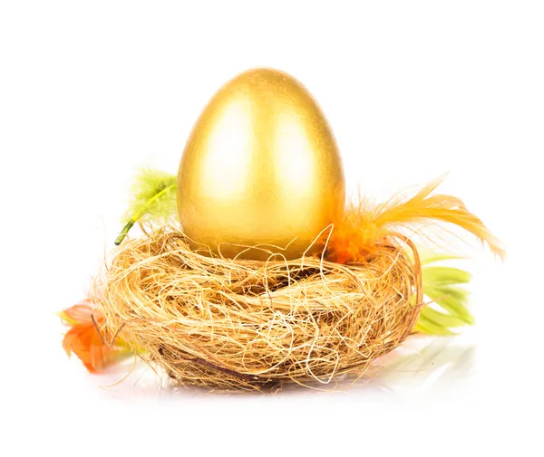 Huevo dorado en el nido — Foto de Stock