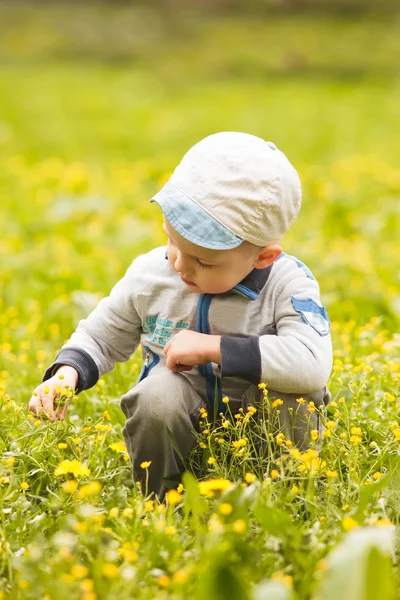 Boy plays with flowers — Stock Photo, Image