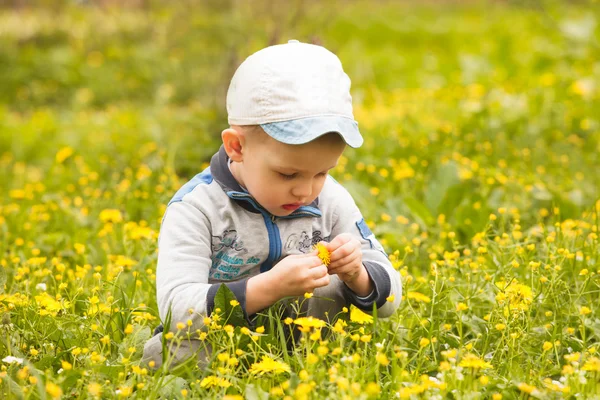 Boy plays with flowers — Stock Photo, Image