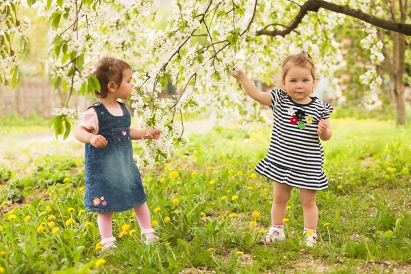 庭の子供たちは — ストック写真