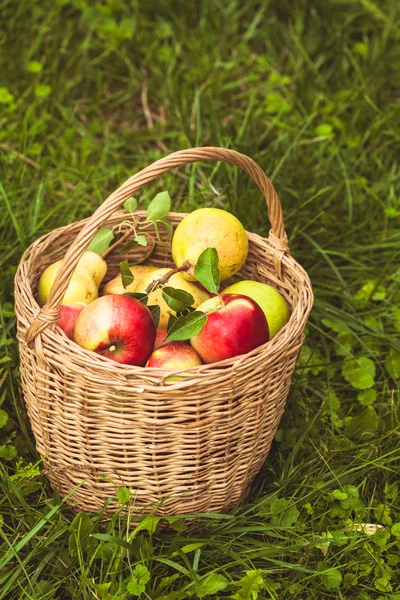 Äpplen och päron på gräset — Stockfoto