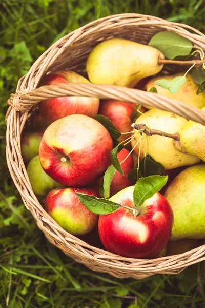 Manzanas y peras en la hierba —  Fotos de Stock