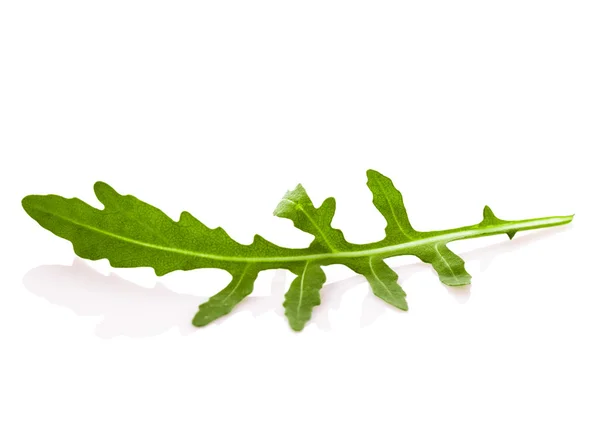 Fresh arugula — Stock Photo, Image